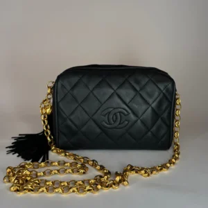 Chanel Camera Bag