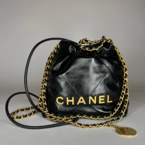 Chanel Hobo 22 Bag