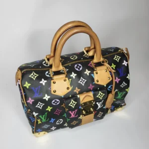 Louis Vuitton Speedy 30 Multicolor